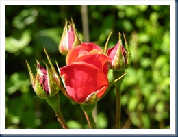DSCN0024