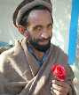 Roses for Nangarhar