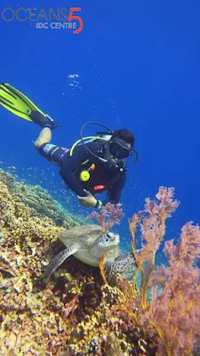 PADI IDC Gili Islands | Scuba Diving Indonesia