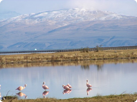 lago nimes1