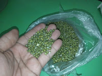 Cara Mudah Membuat Kolak Kacang Hijau