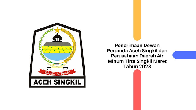 Penerimaan Dewan Perumda Aceh Singkil dan Perusahaan Daerah Air Minum Tirta Singkil Maret Tahun 2023