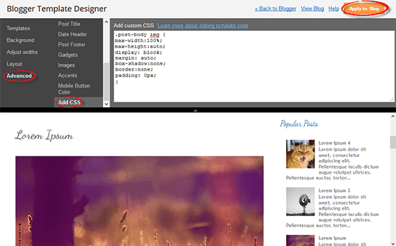 Automatically Resize Blogger Images to Fit Blog Post Area 3 resize blogger pictures