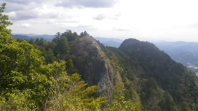 馬鹿試し