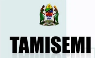 Form Five Selection 2024/2025, Tamisemi