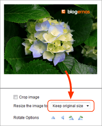 Crop Foto secara Online di Situs ImageResize