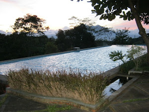 Griya Sawah Lega Puncak Cisarua