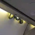 Snake on a plane: Live reptile intrudes on flight in Mexico 