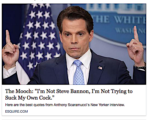 Image result for scaramucci quotes