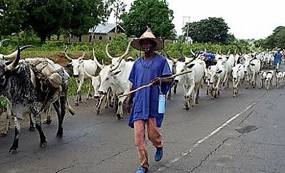 Nigeria will plant grass