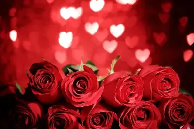 صور ورد وقلوب طبيعية جميلة