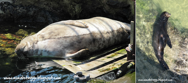 Zoo en la Península de la Magdalena, Santander