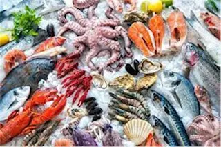 أسعار الأسماك فى بداية تعاملات اليوم الثلاثاء 5 سبتمبر 2023 بسوق العبور