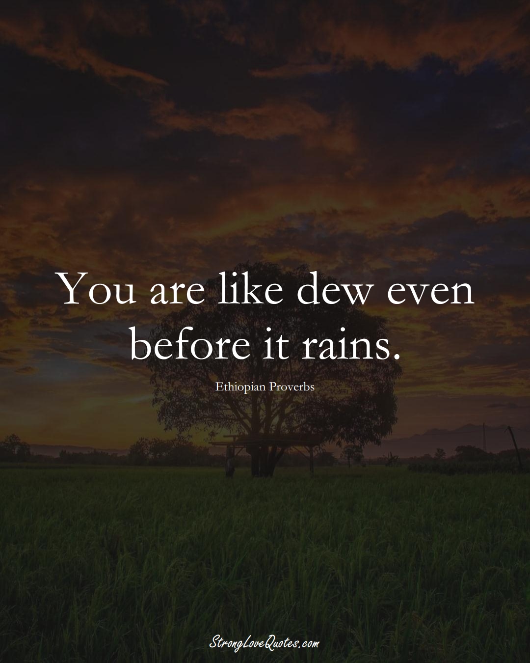 You are like dew even before it rains. (Ethiopian Sayings);  #AfricanSayings