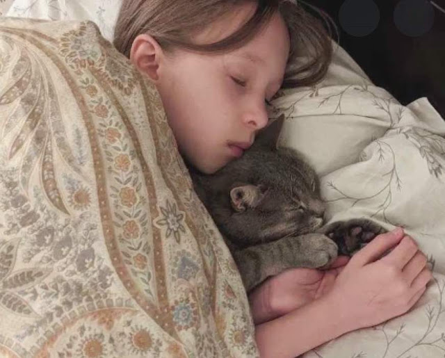 10-year-old Ukrainian girl reunited with her cat who was flown over from her home country to California