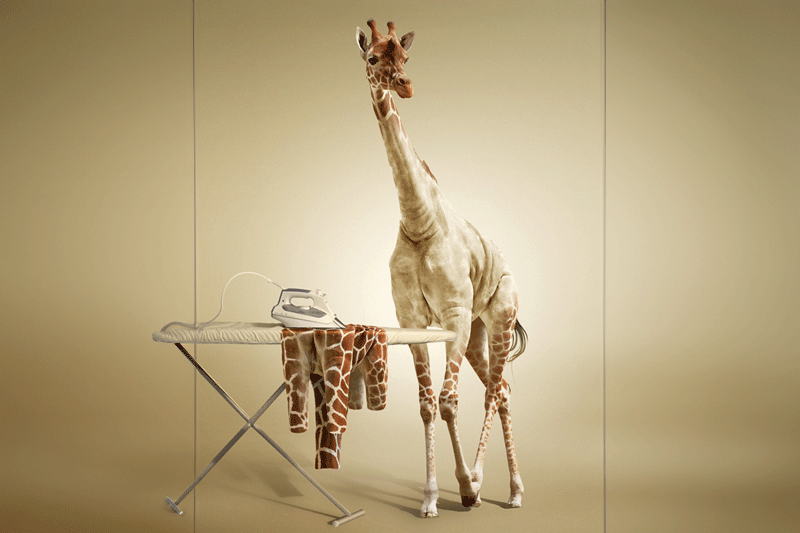 Undress a Giraffe