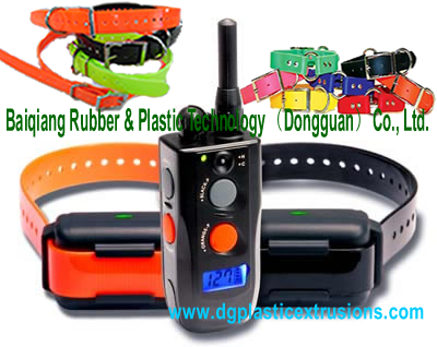 dog collars and leads