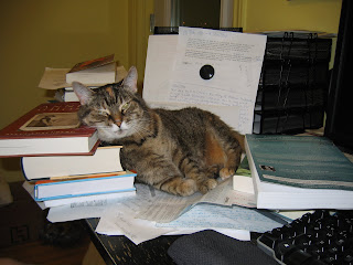 Cat leaning on book pile