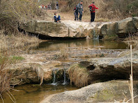 Saltants al torrent de Can Roig