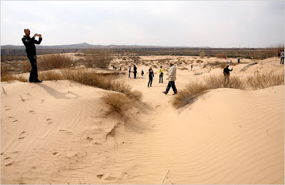 Mongolian Gobi Desert