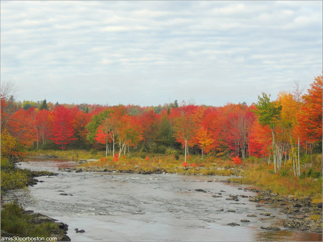 Paisajes Otoñales en el Área de Downeast en Maine