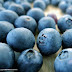 فوائد العنبية (Blueberry) 