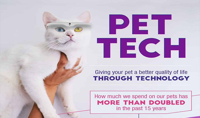 Pet Technology Can Give Your Pal a Better Life 