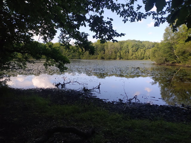 [CR][Gravel][Bikepacking] De Saint Rémy les Chevreuses à Rosny sous Bois (via Rouen) IMG_20220608_183138