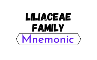 Liliaceae Family Mnemonic trick