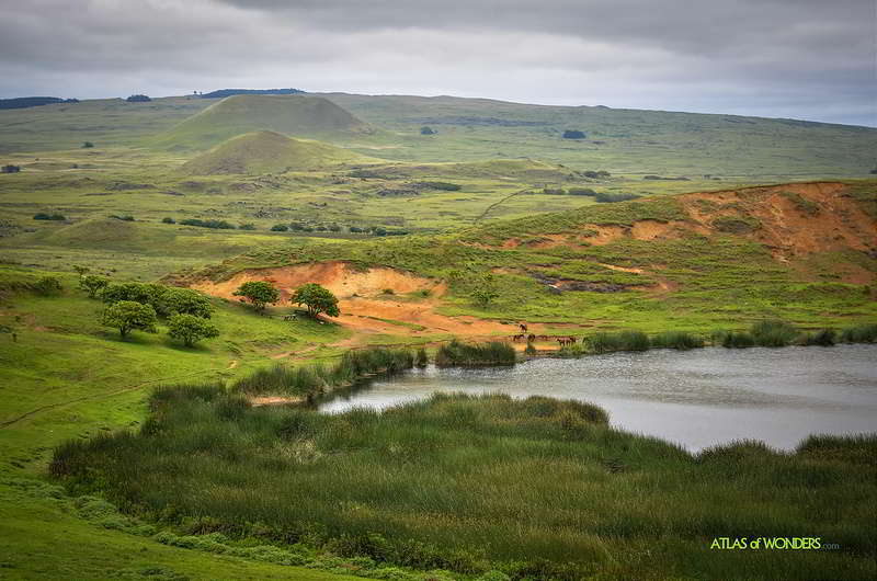 Rano Raraku