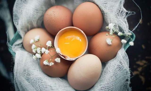 Sử dụng thường xuyên tinh bột nghệ và trứng gà chắc chắn sẽ mang lại công dụng tốt