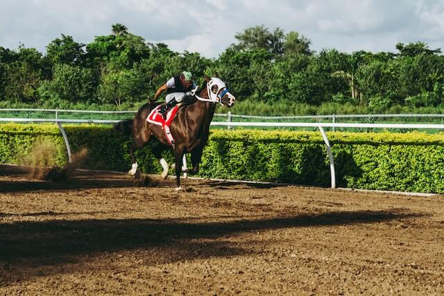 Corrida de cavalos