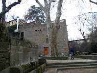 Vista del Plàtan de la Font Gran davant de l'antic Casal del Gremi de Paraires