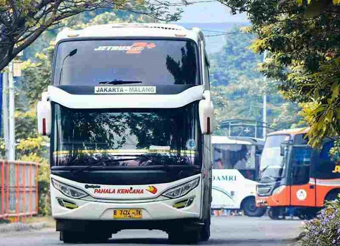 Info Tiket Bus Online Pahala Kencana Dan Rute Populer via Traveloka Bus