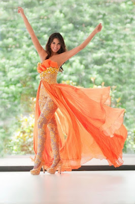 Catalina Robayo,Miss Colombia 2011, National Beauty Pageants