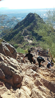 Camelback 41