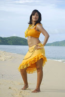 Soumya, hot, cleavage, and, navel, in, bikini, dress