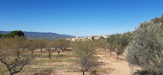 La Torre des de la coma