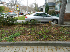 Toronto Bedford Park Fall Front Yard Cleanup After by Paul Jung Gardening Services Inc.--a Toronto Gardening Company