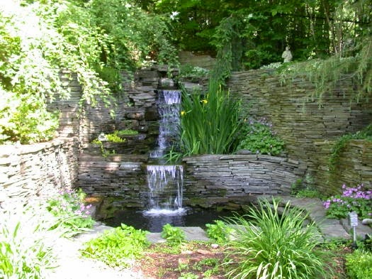 Backyard ponds are a wonderful source of fun and pleasure