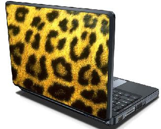 laptop skin picture