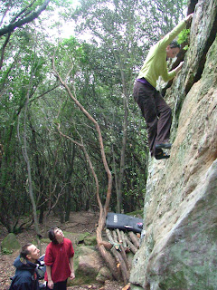 Cora dans le mur des Polypodes