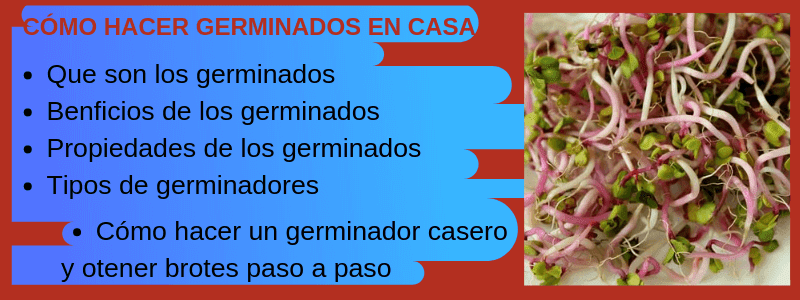 Informacion como hacer germinados en casa