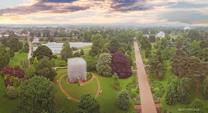 La Colmena de Wolfgang Buttress