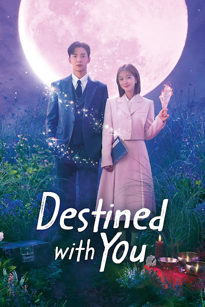 Download Destined With You Season 1 Dual Audio Hindi-Korean 720p & 1080p WEBRip ESubs