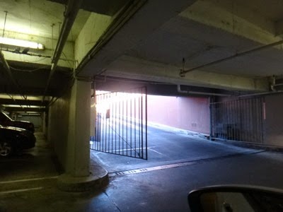 008dev-DSC02212