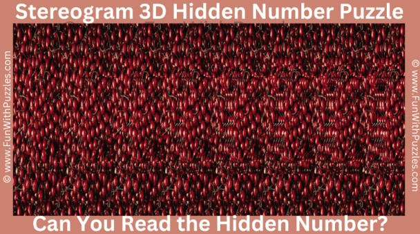 2. Stereogram Puzzle: Can You Read the Hidden Number?