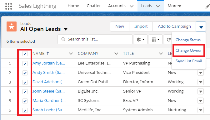 Infallibletechie Change Owner To Multiple Records In Salesforce