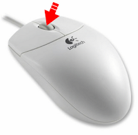 Middle Mouse Button