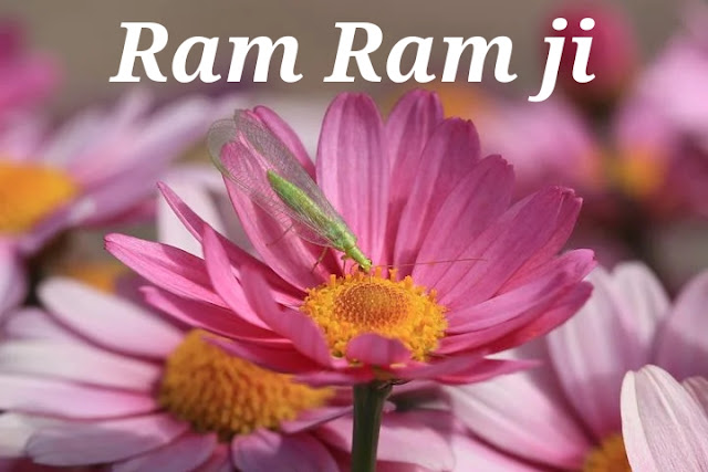 Ram Ram Ji 